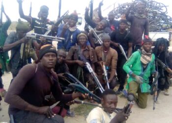 Members of the Civilian Joint Task Force (CJTF)