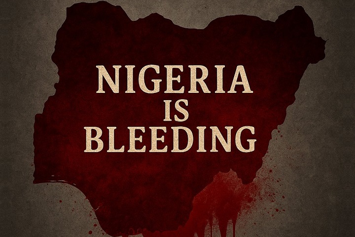 Comedian AY's post came with a banner: "Nigeria is bleeding"