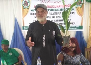 National Palm Produce Association of Nigeria (NPPAN) exedcutive displays the palm seedling