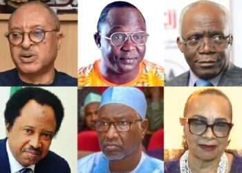 Pat Utomi, Fubara Wabba, Femi Falana, Shehu Sani, Annkio Briggs, Usman Bugaje