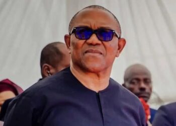 Labour Party presidential candidate, Peter Obi