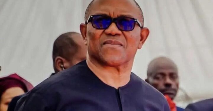 Labour Party presidential candidate, Peter Obi