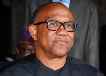 Labour Party presidential candidate, Peter Obi