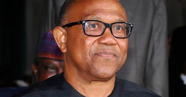 Labour Party presidential candidate, Peter Obi