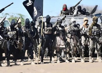 Islamic State West African Province (ISWAP) terrorists