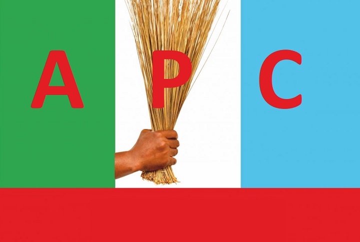 APC logo