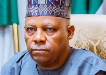 Vice President, Kashim Shettima