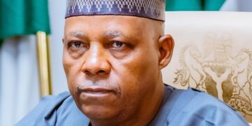 Vice President, Kashim Shettima