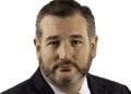 Senator Ted Cruz