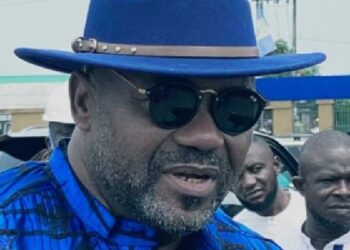 President‑General of Ohanaeze Ndigbo Worldwide, Chief John Mbata