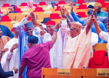APC senators having their way at the National Assembly