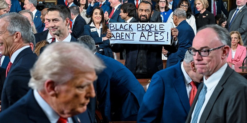 Rep. Al Green holding up a sign to Donald Trump: “Black People Aren’t Apes!”