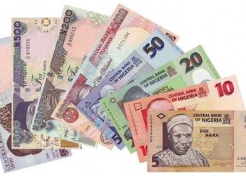 Naira Notes
