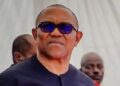 Former Labour Party presidential candidate, Peter Obi