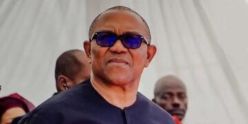 Former Labour Party presidential candidate, Peter Obi