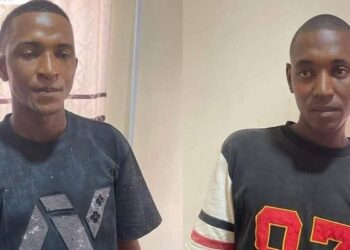 Idris Abubakar and Sani Abubakar