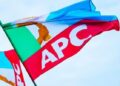 APC-LOGO-FLAG