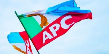 APC-LOGO-FLAG
