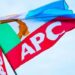APC-LOGO-FLAG