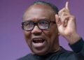Former Labour Party presidential candidate, Peter Obi