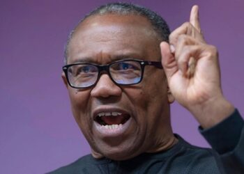 Former Labour Party presidential candidate, Peter Obi