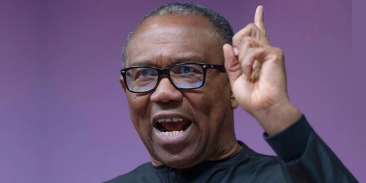 Former Labour Party presidential candidate, Peter Obi