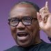 Former Labour Party presidential candidate, Peter Obi