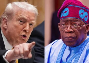 President Donald Trump of the United States tells President Bola Ahmed Tinubu of Nigeria to "Go Home!"