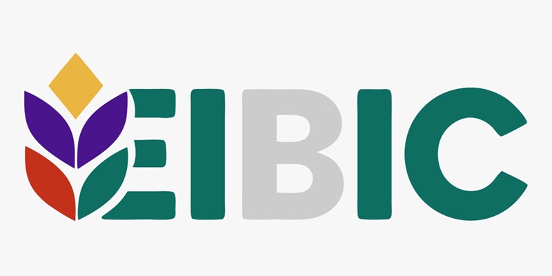 Entrepreneurship, Innovation and Business Incubation Certificate (EIBIC) Programme