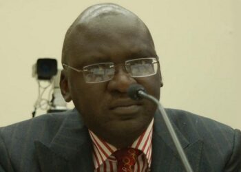 Nigerian U.S.-based international human rights lawyer, Emmanuel Ogebe