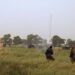 Footage shows ISWAP attacks against Nigerian Army formation in Borno State