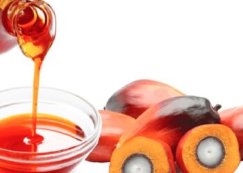 Palm oil