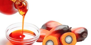 Palm oil