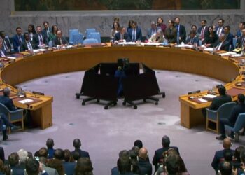 United Nations Security Council