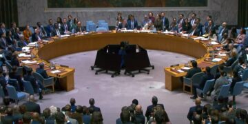 United Nations Security Council