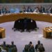 United Nations Security Council
