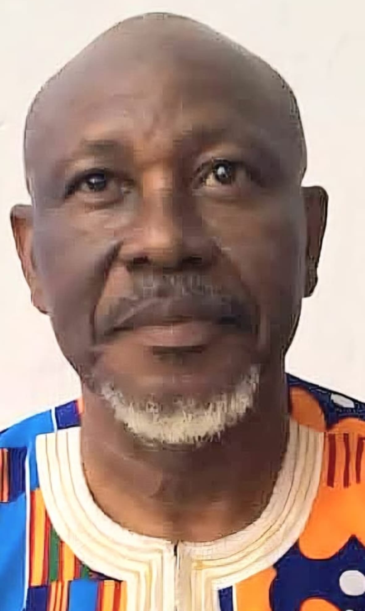 Professor Victor Ifeanyi Obiora Ndirika