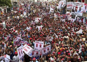 Millions of Members of Kwankwasiyya Movement March in Kano in Support of Peter Obi, Kwankwaso