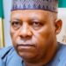Vice President, Kashim Shettima