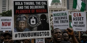 Kio Amachree destroys Bola Ahmed Tinubu