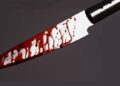 Bloody knife