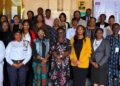 Nigerian Government, European Union (EU), and International Institute for Democracy and Electoral Assistance (International IDEA) personnel