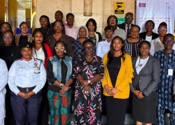 Nigerian Government, European Union (EU), and International Institute for Democracy and Electoral Assistance (International IDEA) personnel