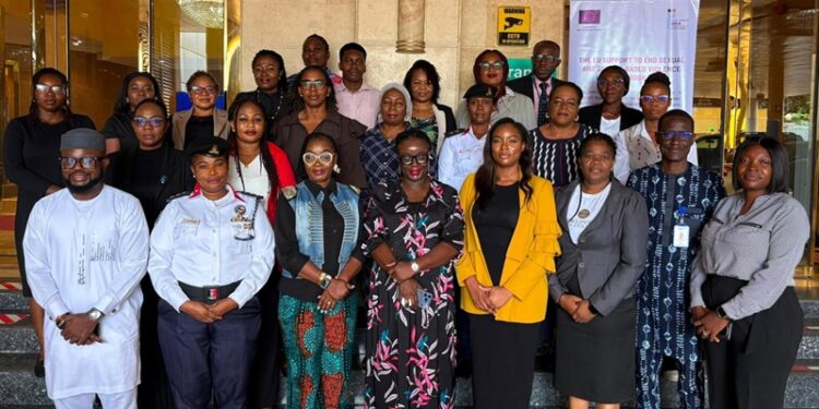 Nigerian Government, European Union (EU), and International Institute for Democracy and Electoral Assistance (International IDEA) personnel