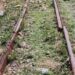 The vandalised, deteriorated and decrepit Kano-Maradi Railway