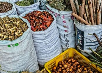 Traditional medicines in Nigeria
