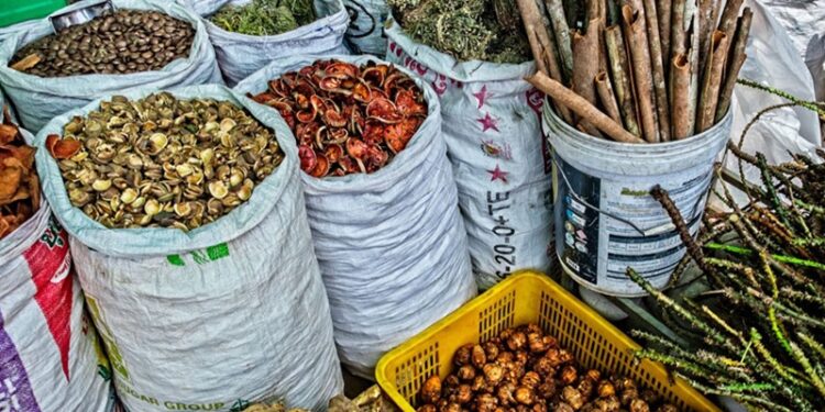 Traditional medicines in Nigeria