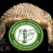 Nigerian Bar Association (NBA)