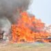 NDLEA Destroys N301bn Worth of Cocaine, Heroin, Opioids, Others in Lagos