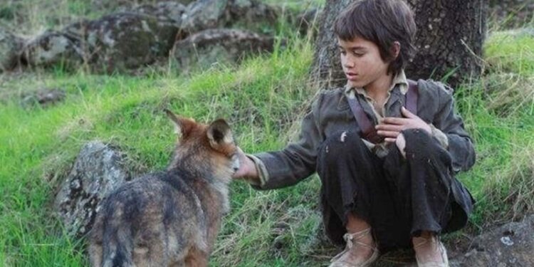 Marcos Rodríguez Pantoja spent 12 years with wolves isolated in the Spanish mountains